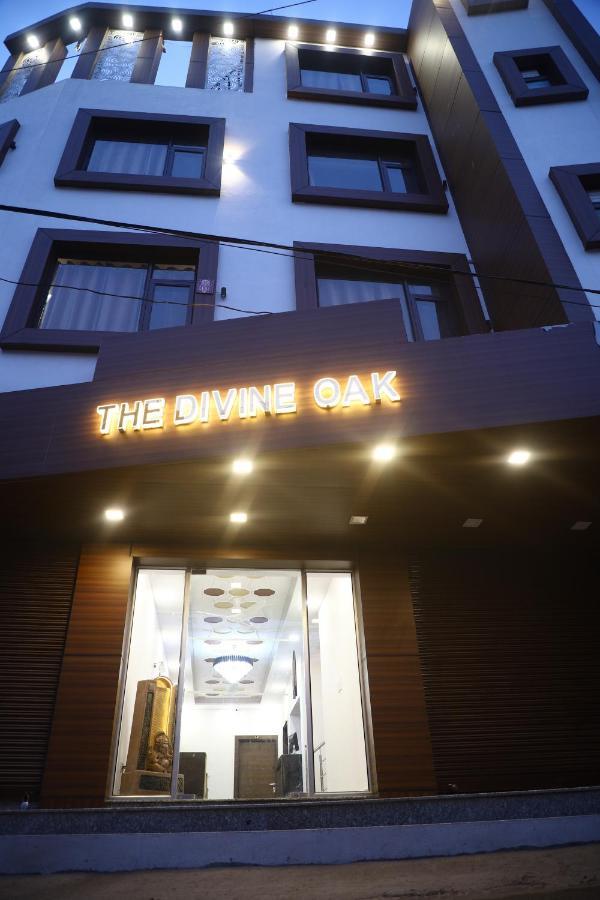 The Divine Oak Hotell Katra  Exteriör bild